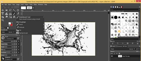 GIMP brushes | How to Create Custom Brushes in GIMP?