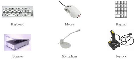 An Introduction - Input & Output Devices