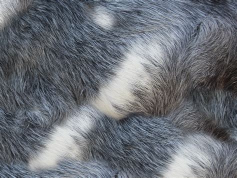 Rabbit Gray Faux Fur Texture Free (Fabric) | Textures for Photoshop