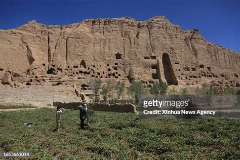 Farmers harvest potatoes near the site of the giant Buddha ruins in ...