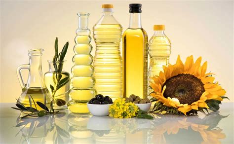 Aceites vegetales: propiedades y beneficios según la ciencia