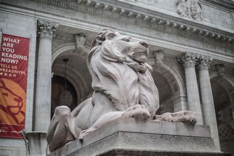 NYPL’s beloved lions will roar to life with $250K restoration - Curbed NY