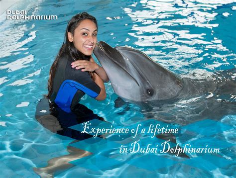 Pin on Dubai Dolphinarium 2017