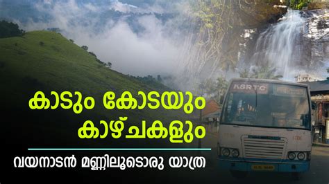 Wayanad Package; You Can Enjoy 900 Kandi, Suchippara Waterfall And ...