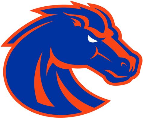 Boise State Broncos Color Codes Hex, RGB, and CMYK - Team Color Codes