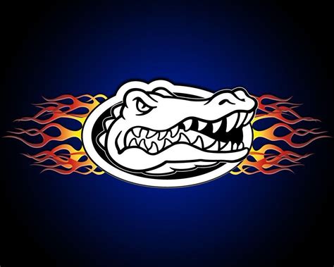 Florida Gators Football Wallpapers - Wallpaper Cave