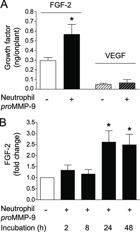 Increase in bioavailable FGF-2 in MMP-9-supplemented collagen onplants.... | Download Scientific ...