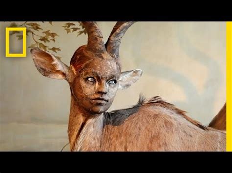 Human-Looking Faces on Animal Bodies: Taxidermy as Art | National Geographic - YouTube