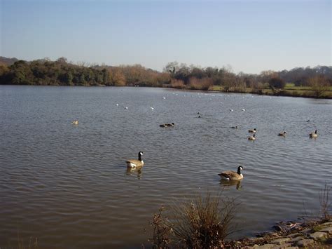 Year 6W Mrs Ward: Hainault forest country park