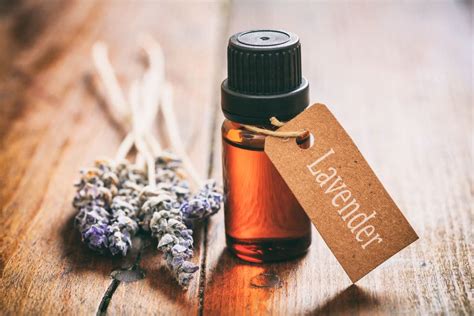 20 Practical Uses for Lavender Essential Oil in the Home