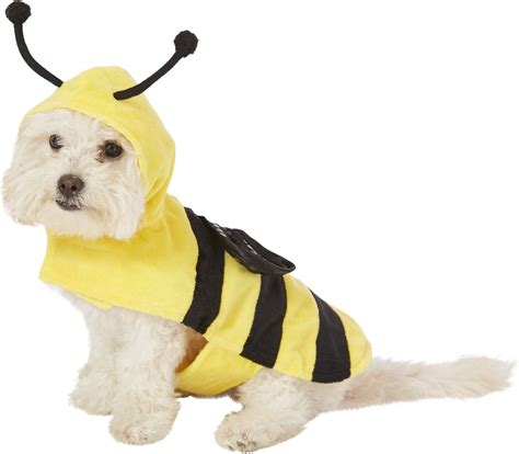 Frisco Bumble Bee Dog & Cat Costume, X-Small - Chewy.com | Bee dog, Cat ...