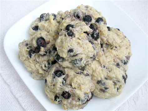 Blueberry Lime Biscuits | Lisa's Kitchen | Vegetarian Recipes | Cooking Hints | Food & Nutrition ...