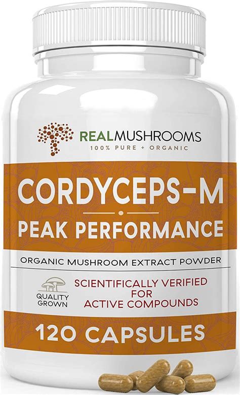 The 5 Best Cordyceps Mushroom Supplements: Reviews & Buying Guide