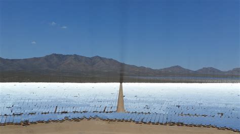 The Race to Build Solar Power in the Desert — and Protect Rare Plants ...