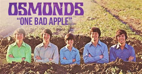 The Osmonds: "One Bad Apple" | DoYouRemember?