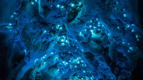 Bioluminescent glow worms turn 30-million-year-old caves into alien skies - The Verge