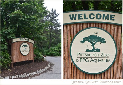 Personal Post: Trip to the Pittsburgh Zoo | Jessica Schmitt Photography Blog