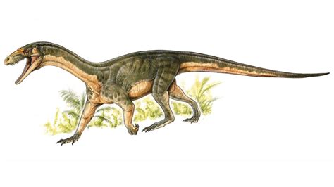 Archosaur fossils found in Tanzania are forcing scientists to rethink the evolution of dinosaurs ...