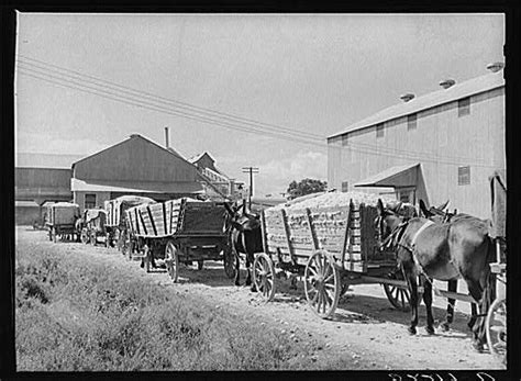 17 Best images about Mississippi African American History on Pinterest ...