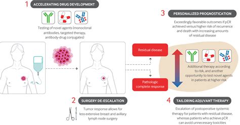 Advances in systemic therapies for triple negative breast cancer | The BMJ