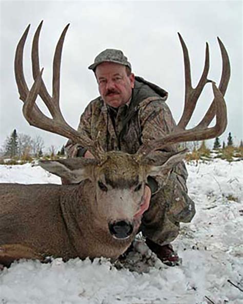 Trophy Mule Deer Hunt - Alberta Hunt