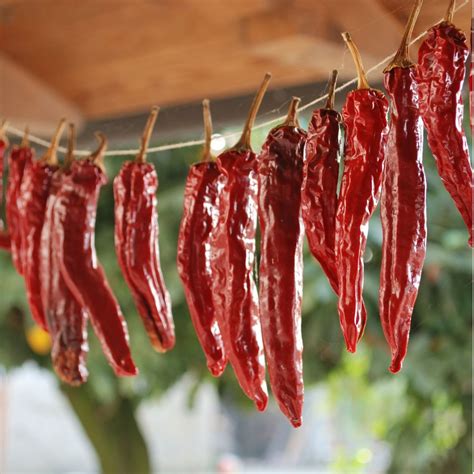 How to Dry Chili Peppers for Best Results - GardensAll