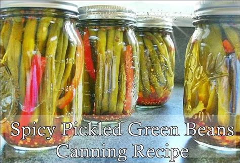 Spicy Pickled Green Beans Canning Recipe