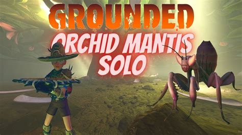 Grounded | Mantis Solo, Complete Guide - YouTube