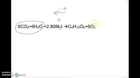 Casual Endothermic Word Equation Up Board Physics Syllabus Class 12 2020