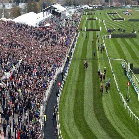 The Top 10 Horse Racing Tracks In The World, And Why Recent Equine ...