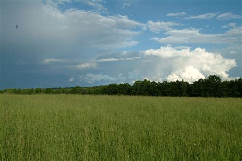 Hay field by mjranum-stock on DeviantArt