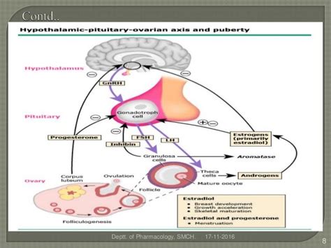 GnRH Agonists & Antagonists