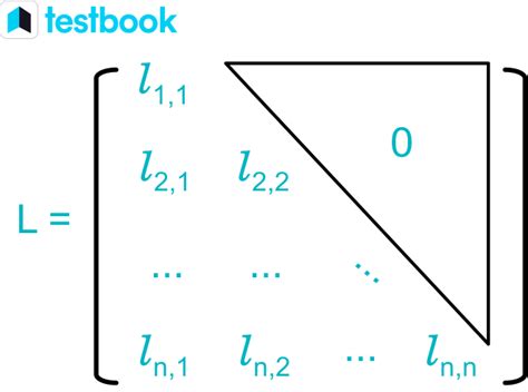 Upper & Lower Triangular Matrix: Determinant, Inverse & Examples