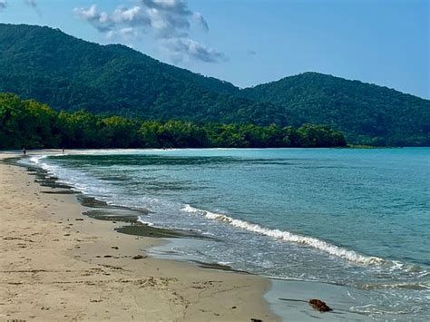 Cape Tribulation Beach: UPDATED 2020 All You Need to Know Before You Go ...