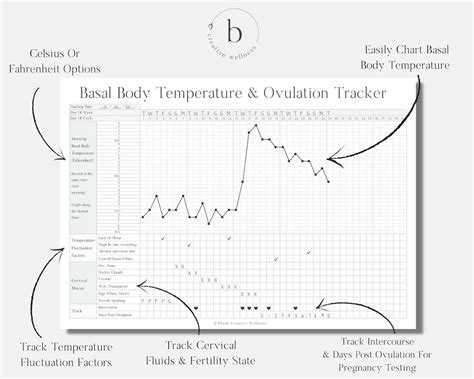 Printable Basal Body Temperature & Ovulation / Fertility / Pregnancy ...