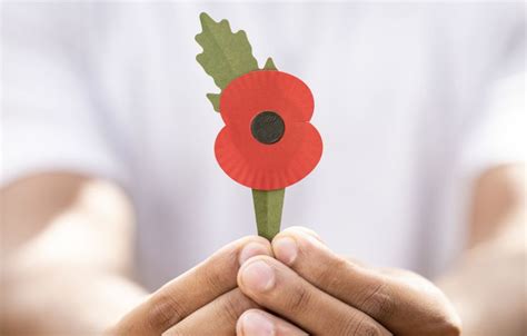 Remembrance Day poppy to go plastic free - BBC Newsround