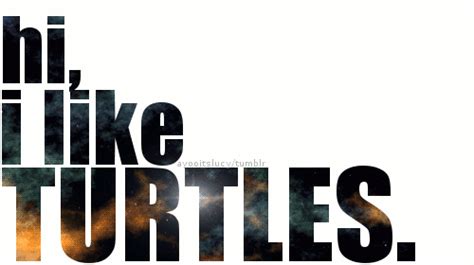 i like turtles on Tumblr