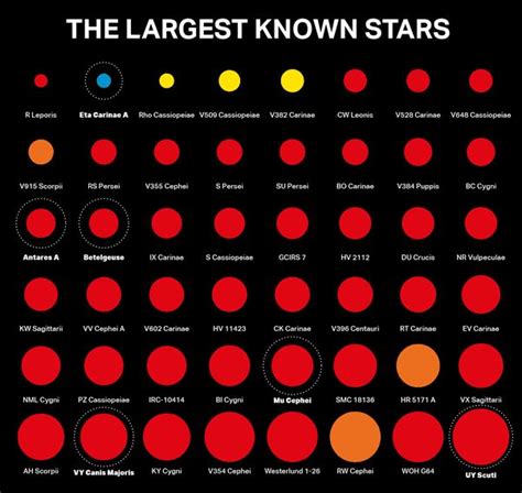 UY Scuti: The Biggest Star in the Universe