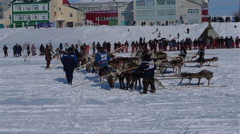 Wandering Life: The Nenets people of Russia - The Travel Enthusiast The Travel Enthusiast