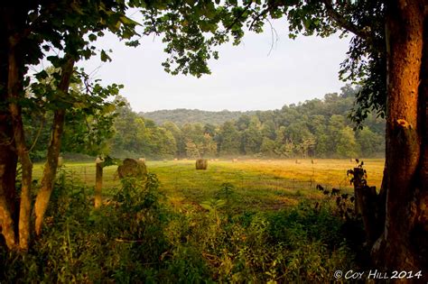 Country Captures: Summer Scenes