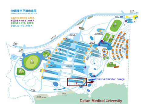 International Students, Dalian Medical University, Study MBBS in Dalian ...