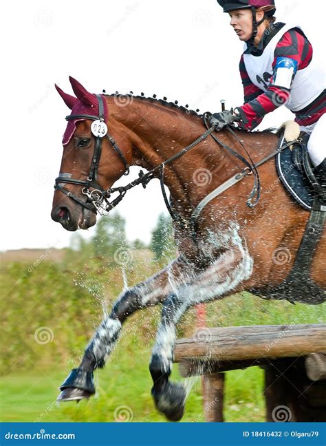 Cross-Country, Horseback Jumping in Splashes Water Editorial Photography - Image of lifestyle ...