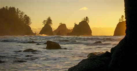 Hike to Shi Shi Beach - Point of the Arches, Neah Bay, Washington