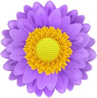 Download purple flower png - Free PNG Images | TOPpng