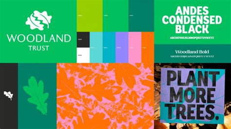 Woodland Trust rebrands to fight for new causes - Design Week