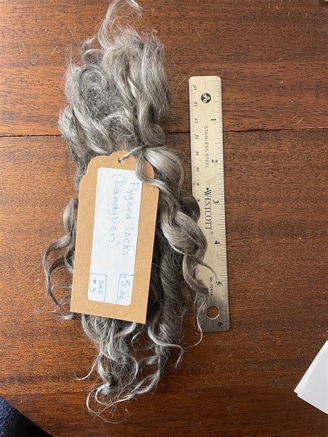 Long Silky Pygora Goat Fiber Wool Locks 4-8 - Etsy