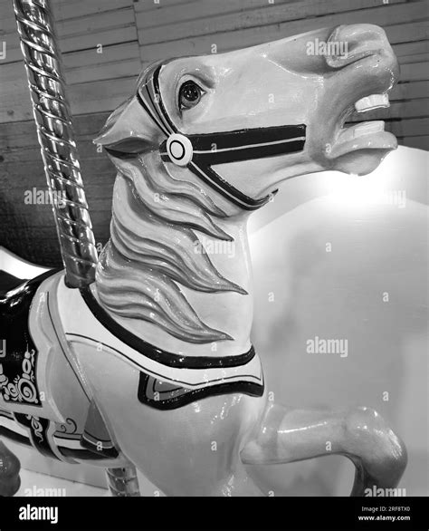 Vintage old amusement park carousel ride horses Stock Photo - Alamy
