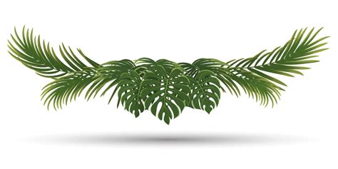 palm leaves frame, green nature leaf border 10226762 Vector Art at Vecteezy