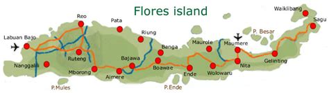 Indo-Realestate Map of Flores