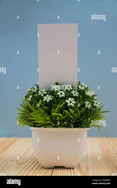 Blank business cards and little decorative tree in white vase on wooden working table with copy ...